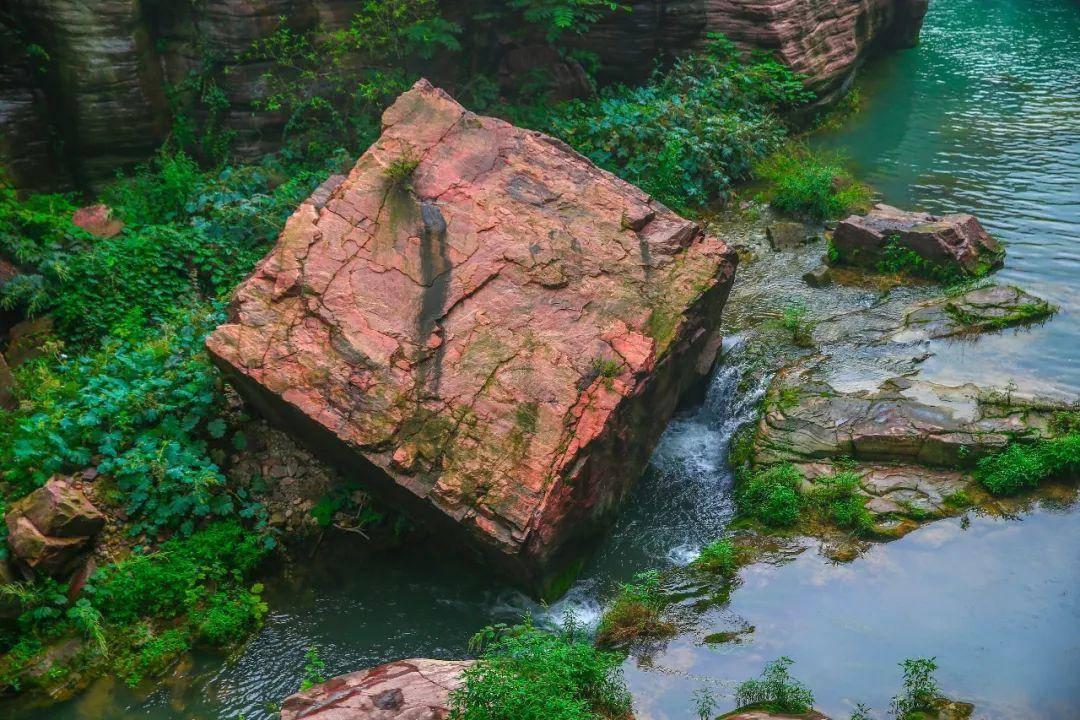 对于考研有什么好的建议?- 红迪网平台